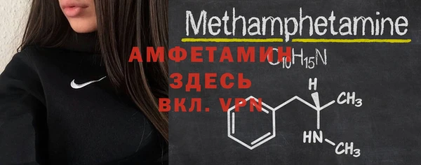 амф Верхний Тагил