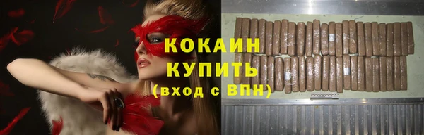 амф Верхний Тагил