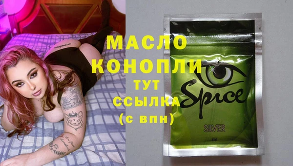 амф Верхний Тагил